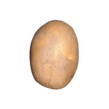 Vector camera capture 2 of 8 of a potato as it rotates through the vision zone