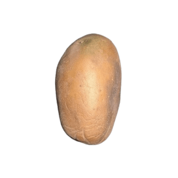 Vector camera capture 3 of 8 of a potato as it rotates through the vision zone