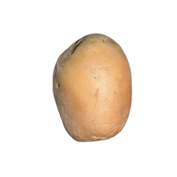 Vector camera capture 4 of 8 of a potato as it rotates through the vision zone