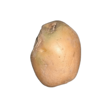 Vector camera capture 5 of 8 of a potato as it rotates through the vision zone
