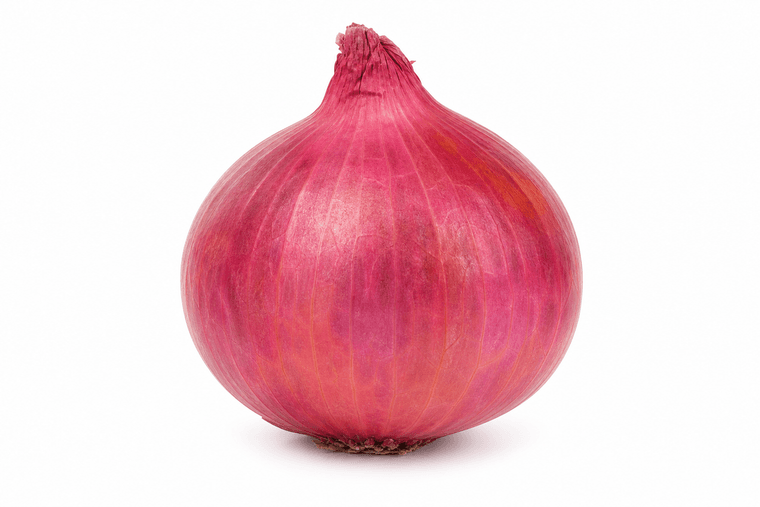 Fresh red onion with intact skin on a white background