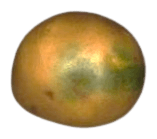 Potato with green discolouration on the skin